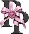 PartnerPresents logo